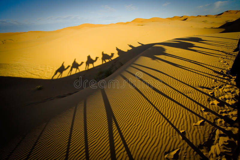 caravana-del-camello-en-el-desierto-de-sáhara-18148019